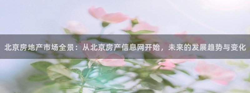 风暴娱乐去人l8888：北京房地产市场全景：从北京房产信息网