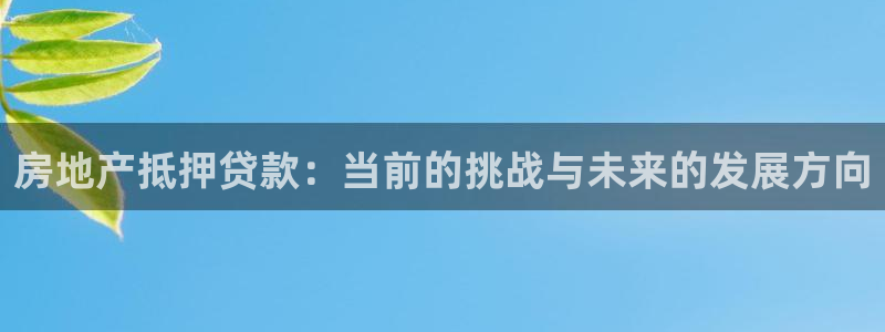 娱乐星空风暴：房地产抵押贷款：当前的挑战与未来的发展方向