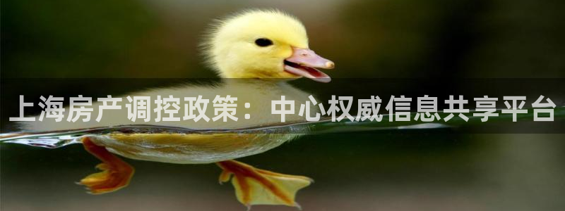 风暴娱乐部：上海房产调控政策：中心权威信息共享平台