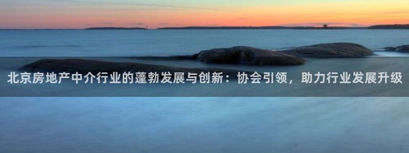 风暴娱乐派对：北京房地产中介行业的蓬勃发展与创新：协会引领，