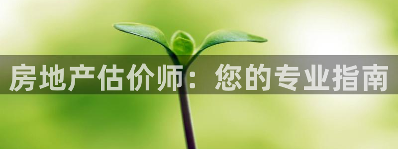 风暴娱乐登录网址：房地产估价师：您的专业指南