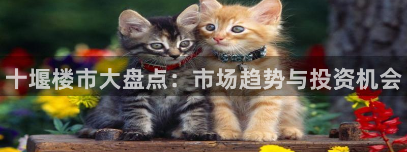 风暴娱乐官方网站：十堰楼市大盘点：市场趋势与投资机会