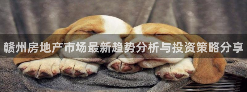 风暴娱乐部：赣州房地产市场最新趋势分析与投资策略分享