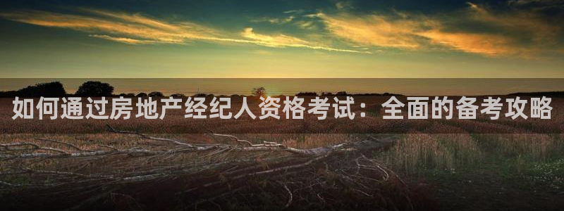 风暴娱乐右5指尖：如何通过房地产经纪人资格考试：全面的备考攻