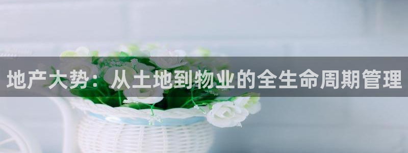 风暴娱乐银川：地产大势：从土地到物业的全生命周期管理