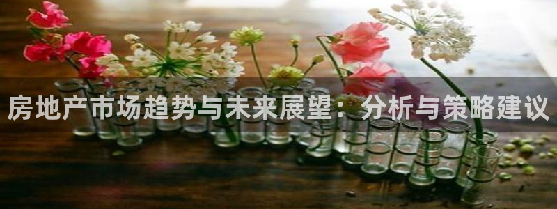 风暴娱乐提现：房地产市场趋势与未来展望：分析与策略建议