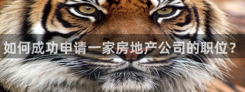 风暴娱乐派对：如何成功申请一家房地产公司的职位？