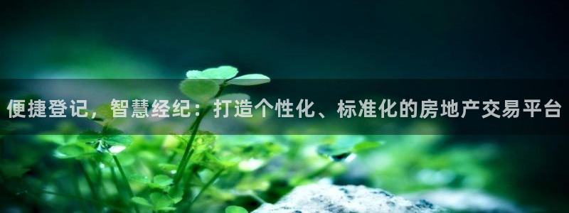 风暴娱乐fb：便捷登记，智慧经纪：打造个性化、标准化的房地产