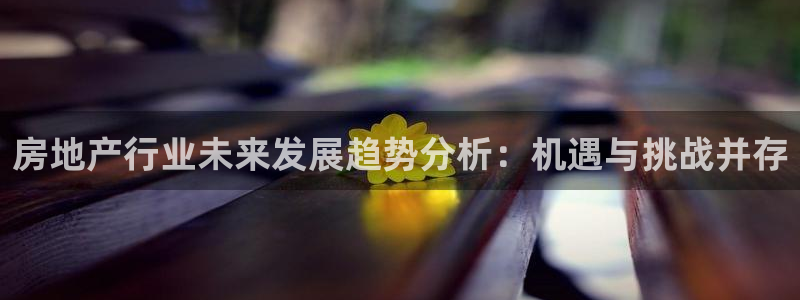 风暴眼娱乐：房地产行业未来发展趋势分析：机遇与挑战并存