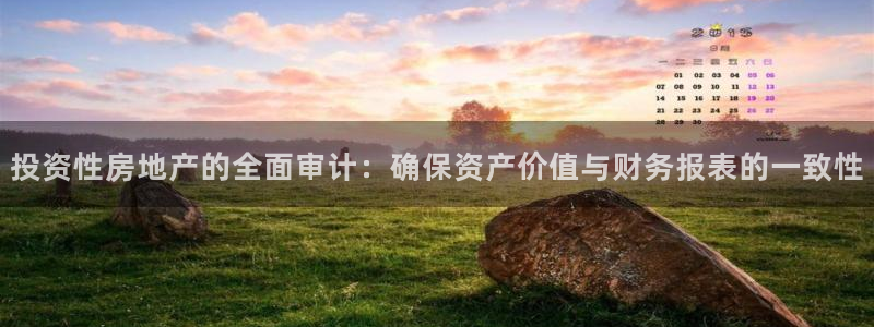 风暴平娱乐：投资性房地产的全面审计：确保资产价值与财务报表的