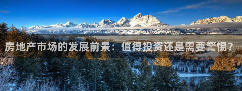风暴娱乐官网开户：房地产市场的发展前景：值得投资还是需要警惕
