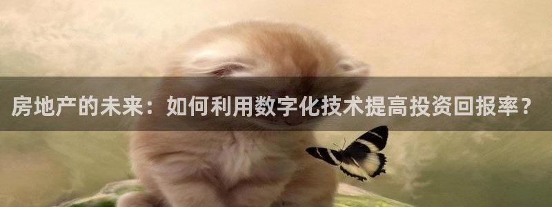 娱乐星空风暴：房地产的未来：如何利用数字化技术提高投资回报率