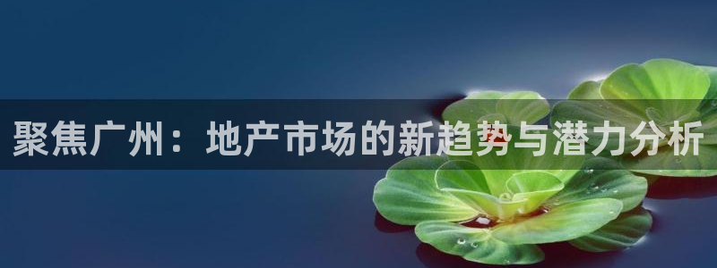 风暴娱乐字图片大全：聚焦广州：地产市场的新趋势与潜力分析