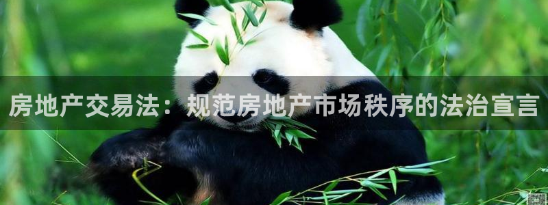 风暴娱乐求333OOa：房地产交易法：规范房地产市场秩序的法